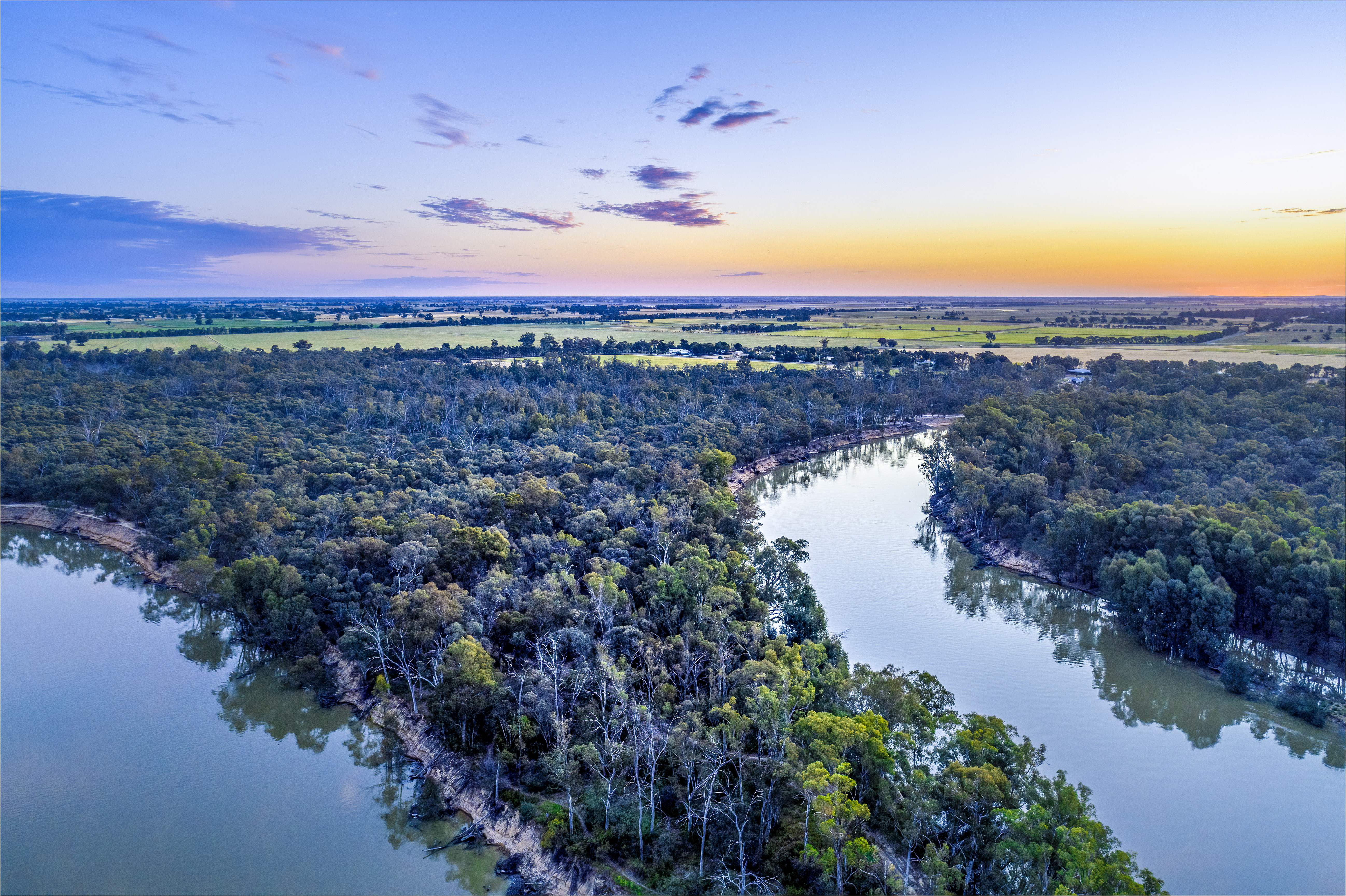The Murray River bending among river red gums at dusk