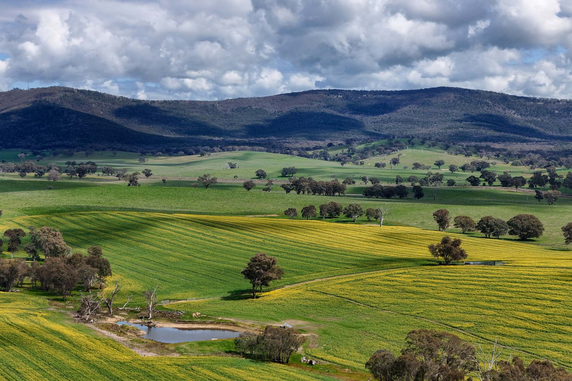 Rolling farmland with crops, a farm dam, and ranges under a stormy sky