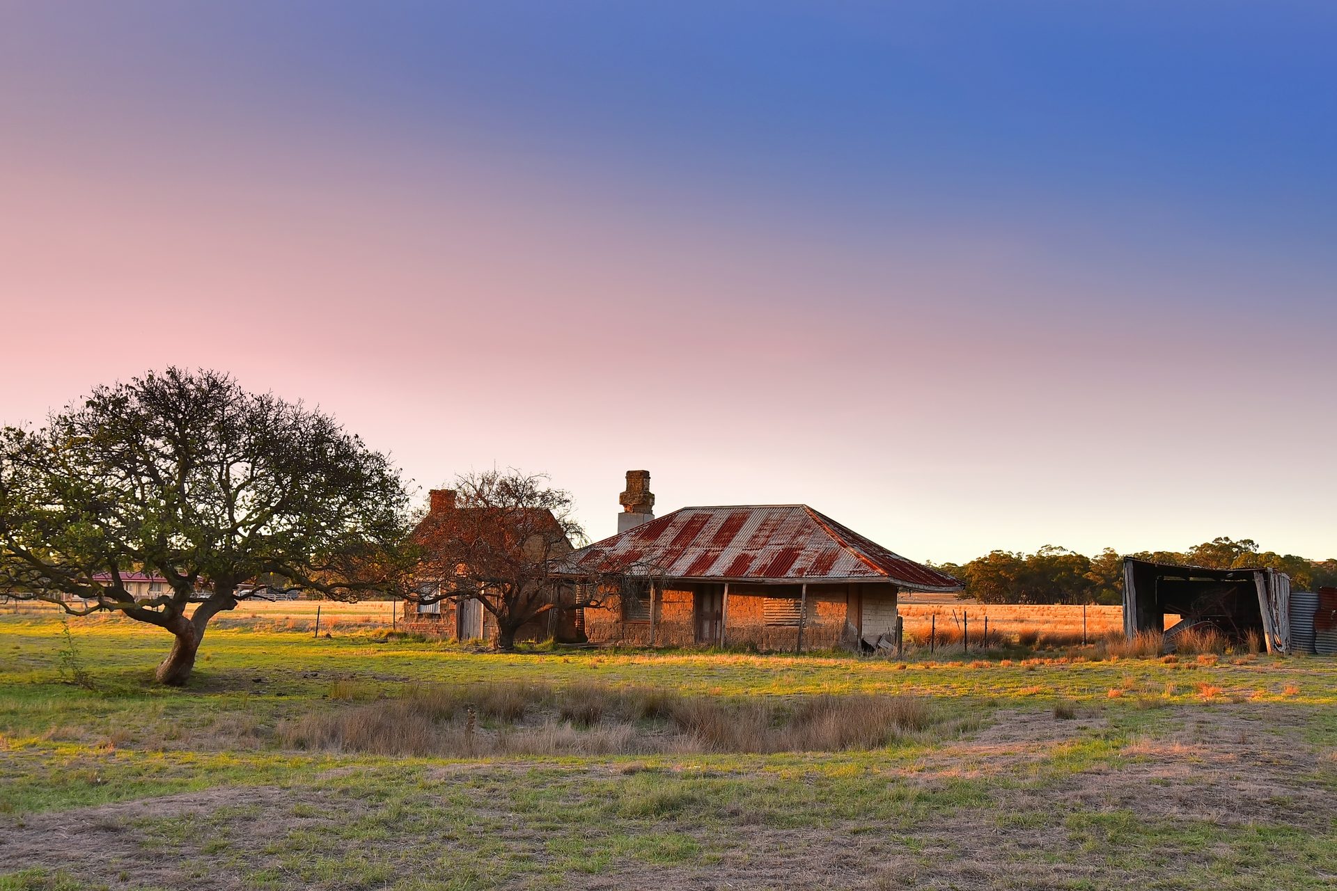 An old homestead and a spreading tree under an evening sky