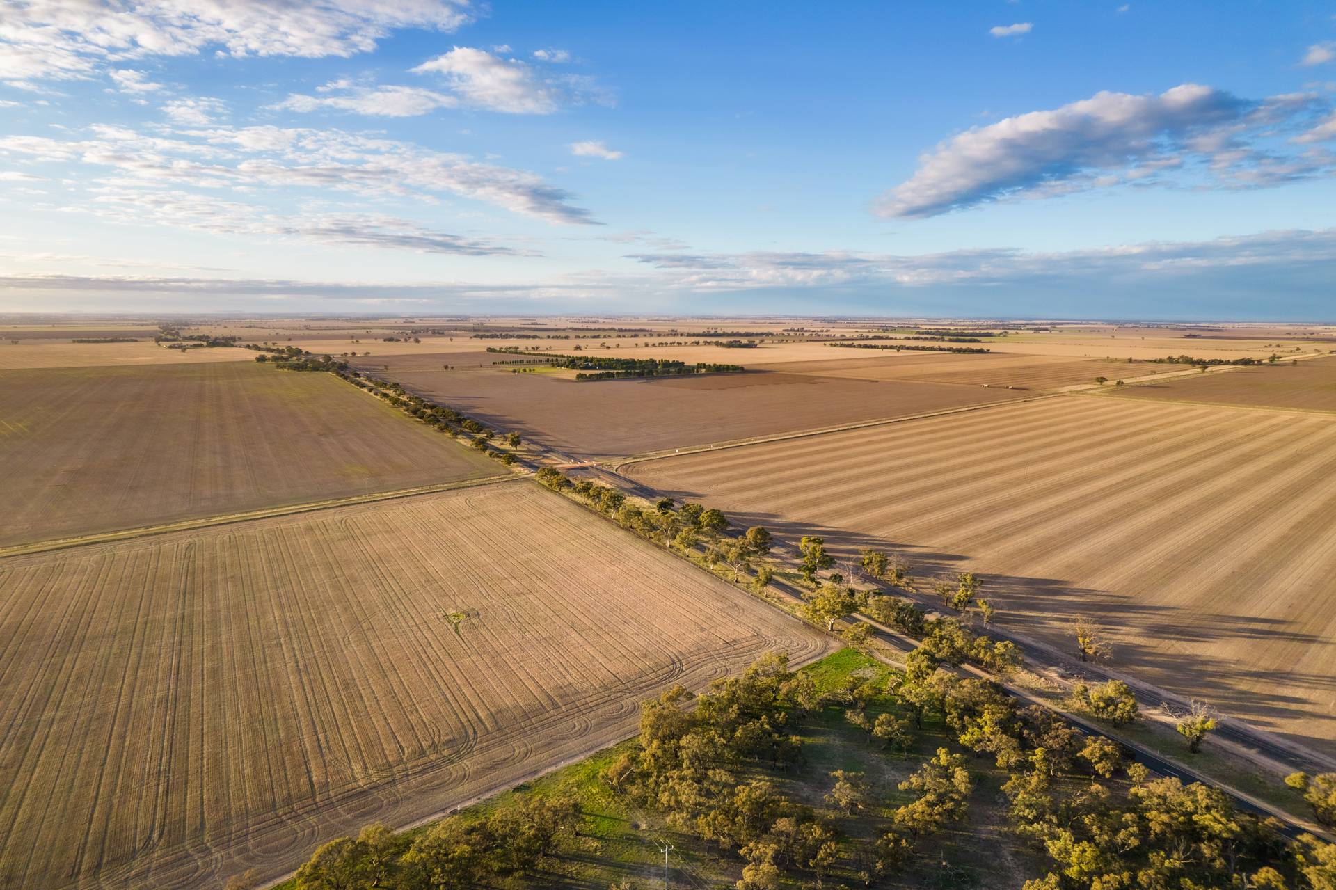 Sown cropping paddocks under a wide sky in regional Australia