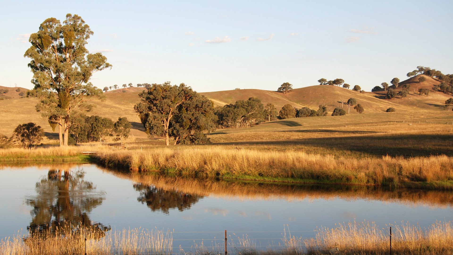 A still farm dam reflecting golden hills at dusk in regional Australia