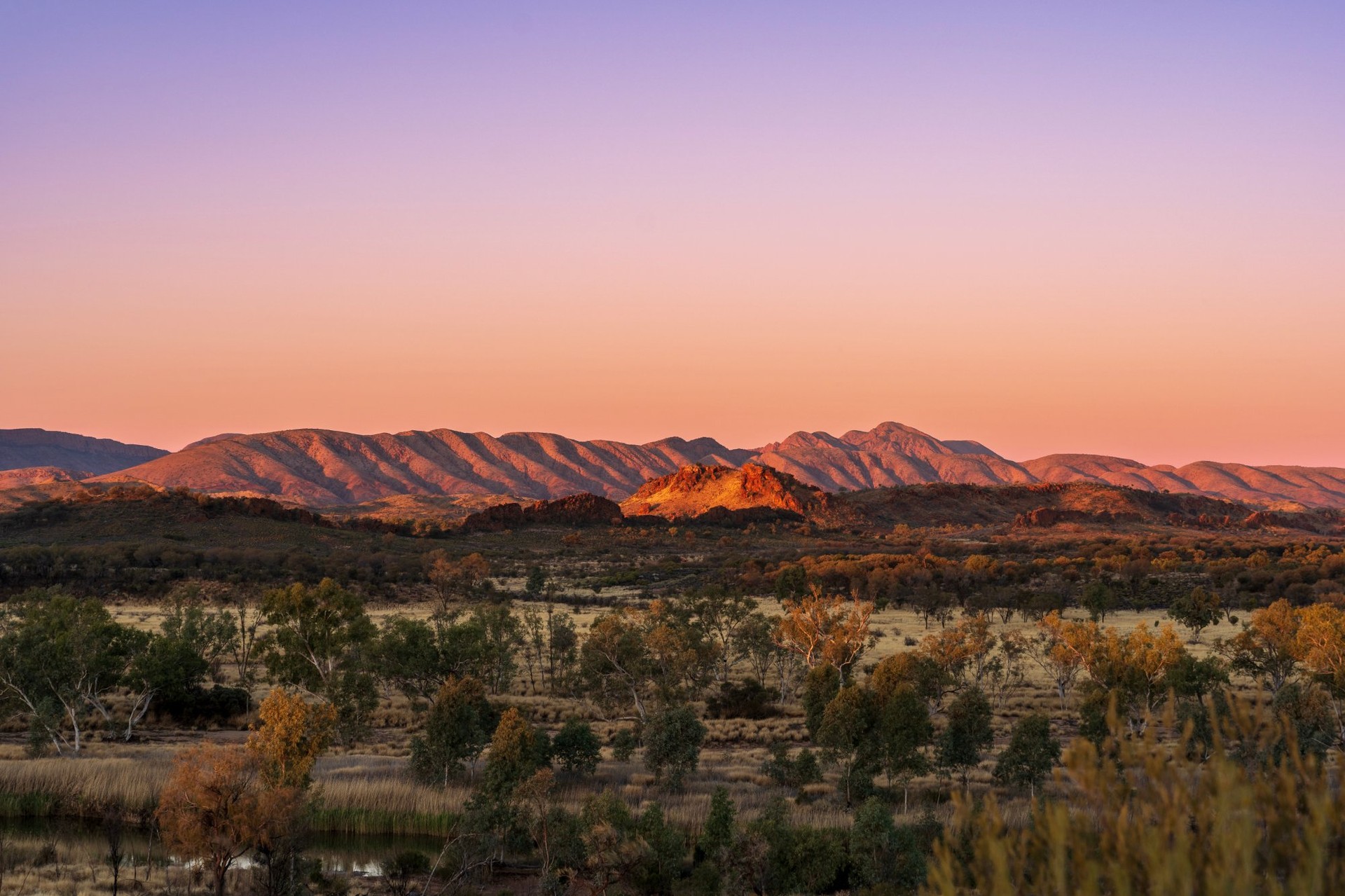 MacDonnell Ranges at sunset, Central Australia