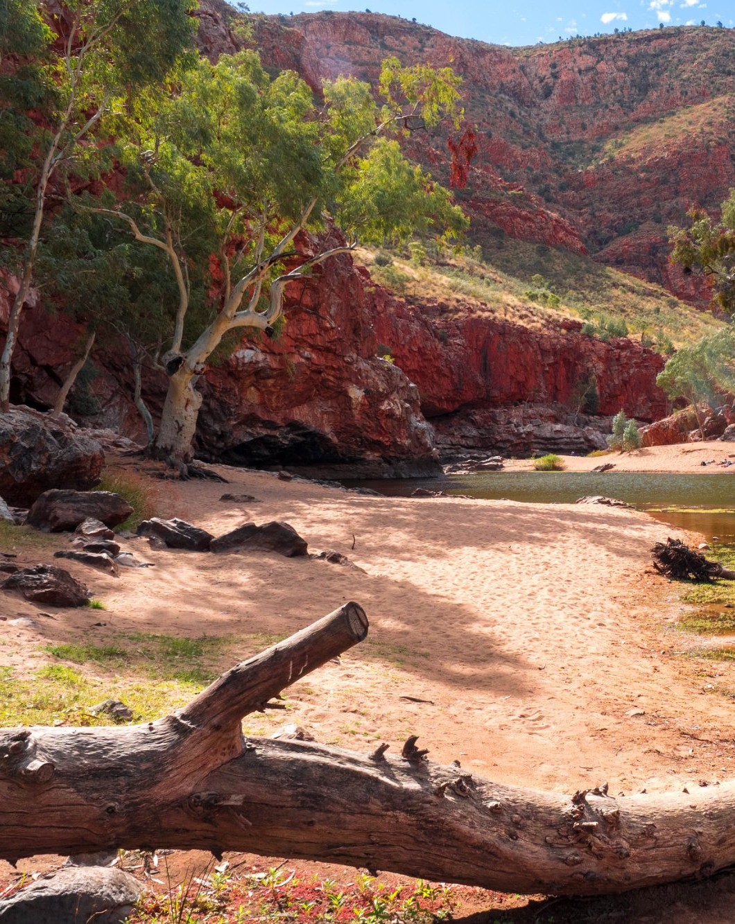 Ormiston Gorge waterhole, West MacDonnell Ranges